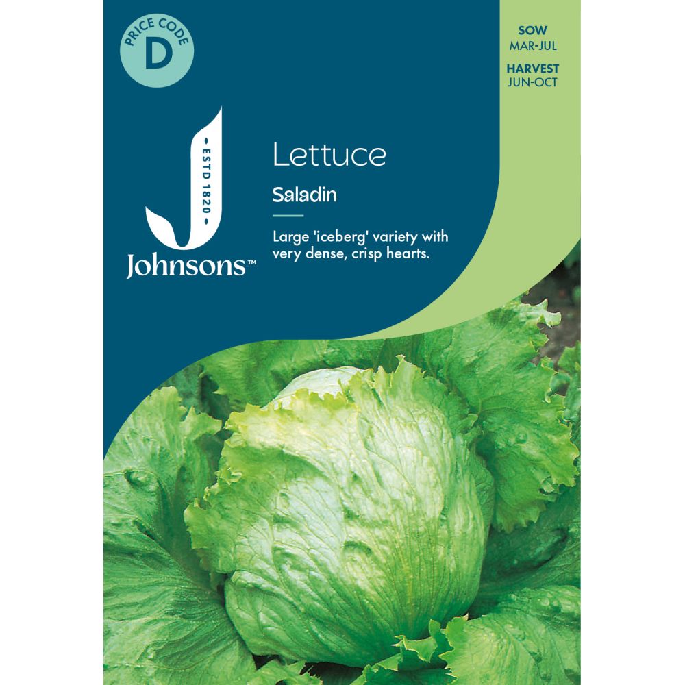 Lettuce Saladin Seeds
