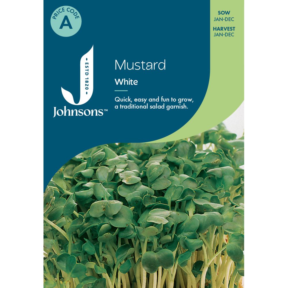 Mustard White Seeds