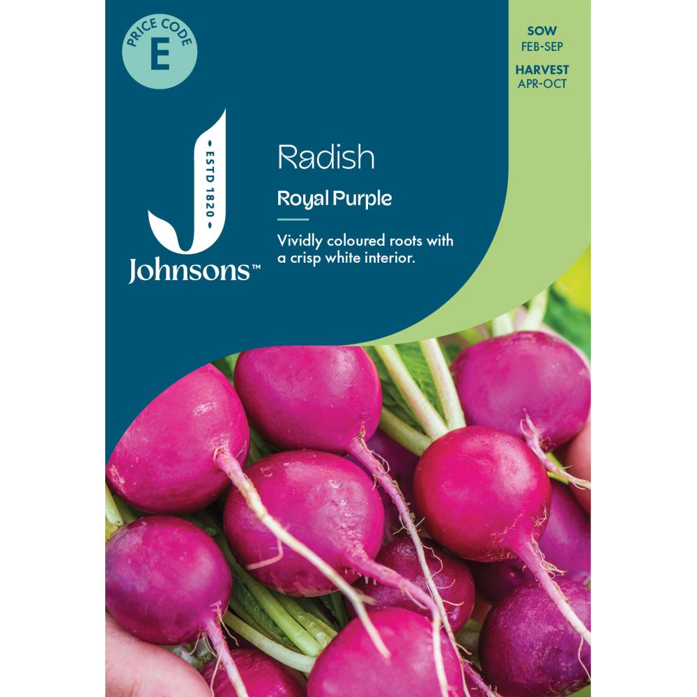 Radish Royal Purple Seeds