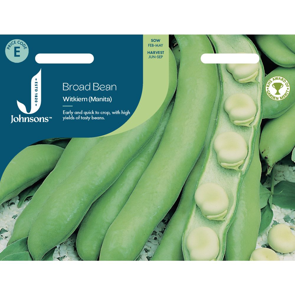 Broad Bean Witkiem (Manita) Seeds