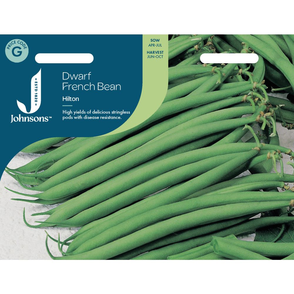 Dwarf French Bean Hilton Seeds
