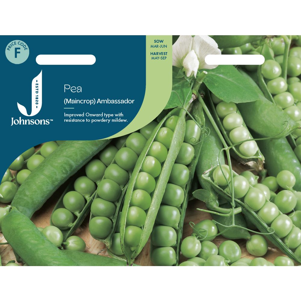 Pea Ambassador Seeds
