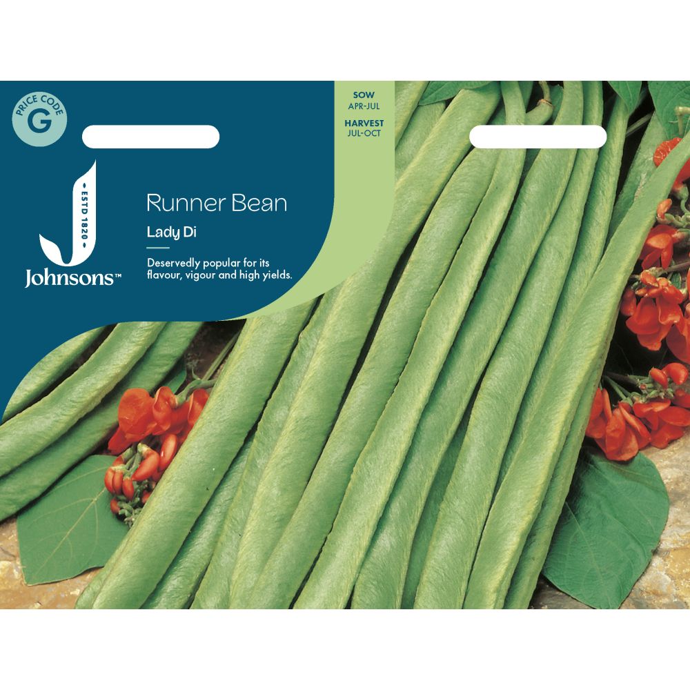Runner Bean Lady Di (Stringless) Seeds