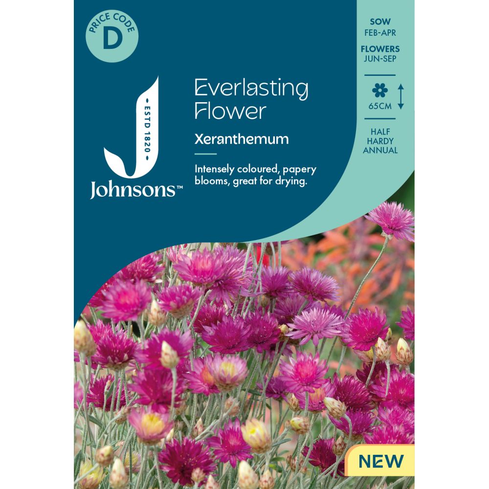 Everlasting Flower Xeranthemum Seeds