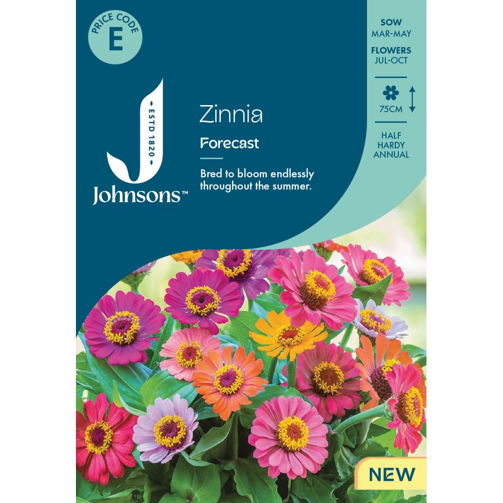Zinnia Forecast Seeds