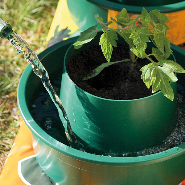 Green plant being watered from a hose in an outdoor setting