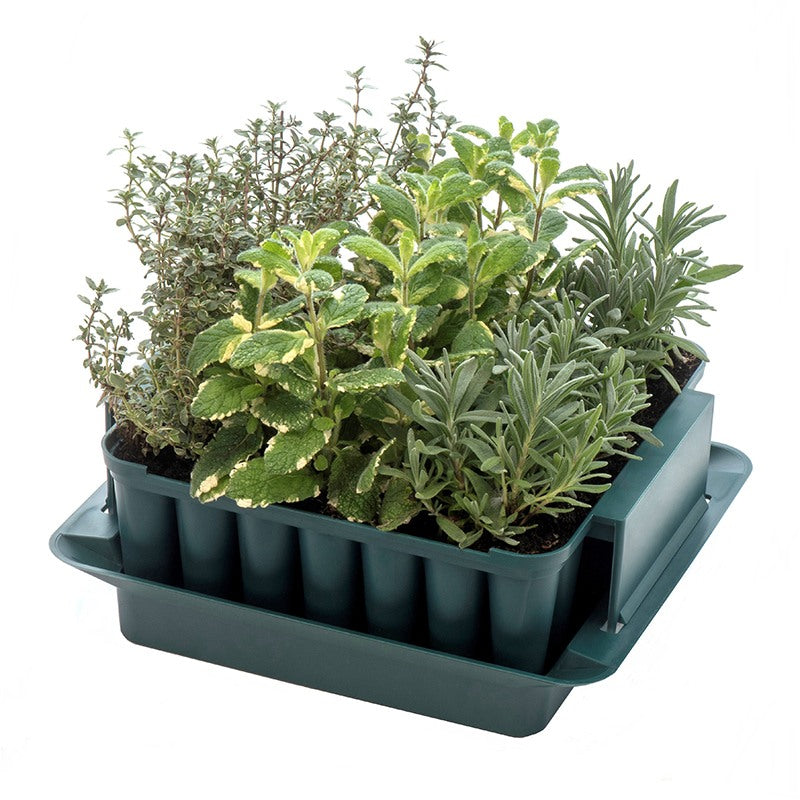 Compact Plant Trainer