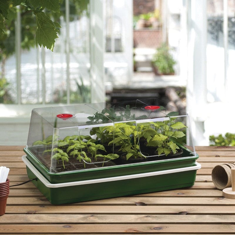 Extra Large High Dome Electric Propagator 24W