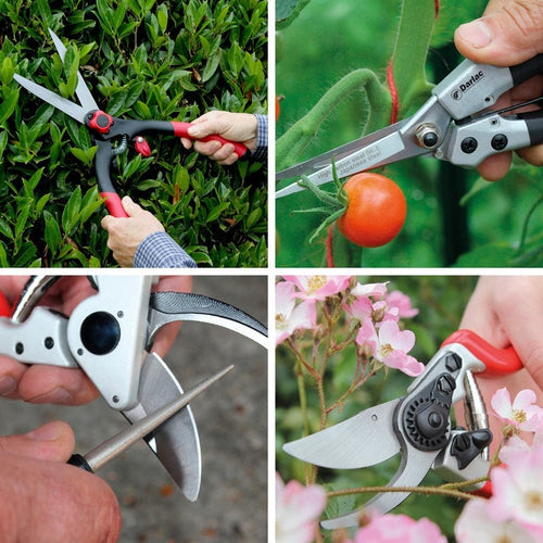 How to Take a Cutting From a Plant