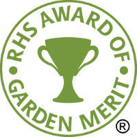 RHS Award of Garden Merit Flower Plants