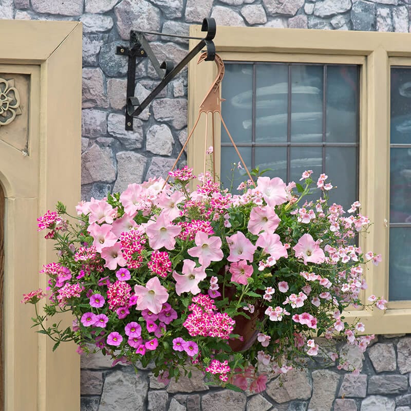 Pre-Planted Hanging Baskets