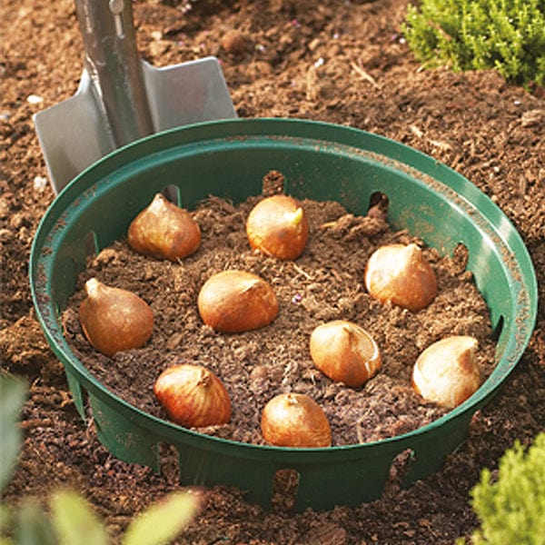 3 x round 26cm basket Bulb Planting Baskets - (3 x 26cm Round)