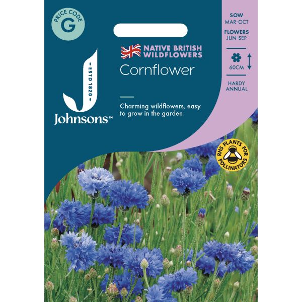 british flower seeds Wildflower Cornflower Seeds