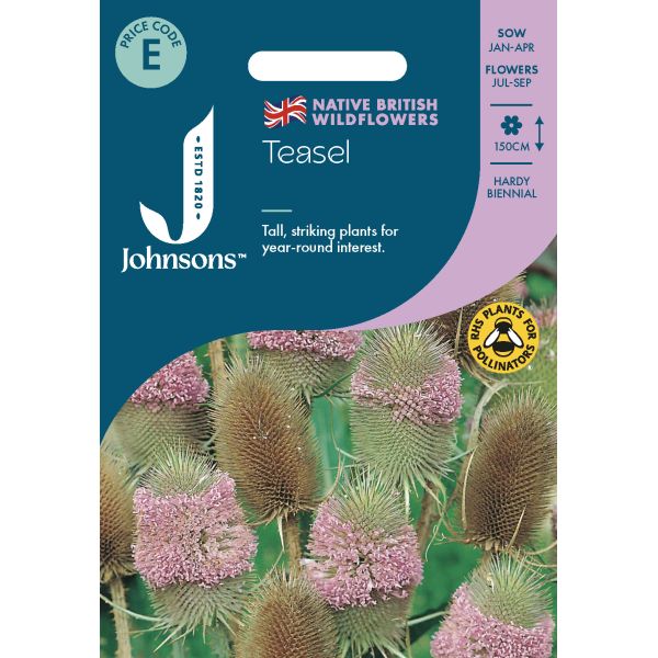 Teasel Seeds