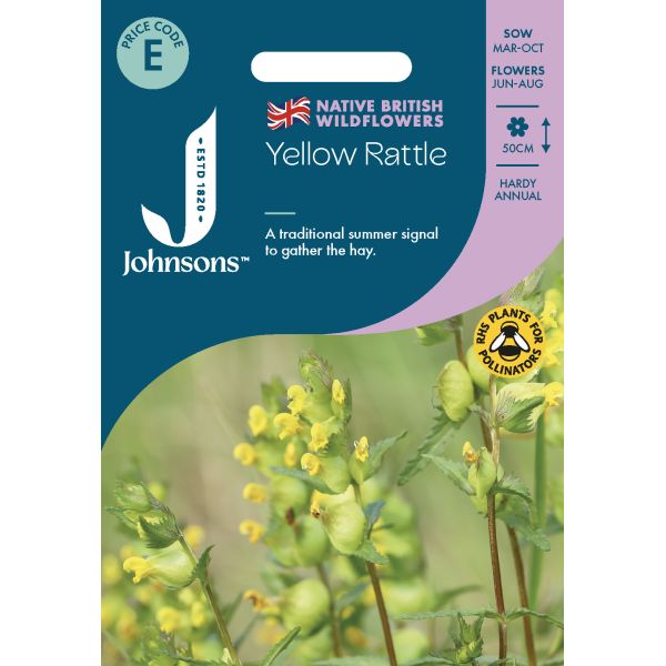 Yellow Rattle Seeds