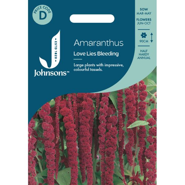 Amaranthus Love Lies Bleeding Seeds