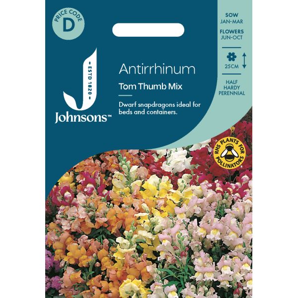 Antirrhinum Tom Thumb Mix Seeds