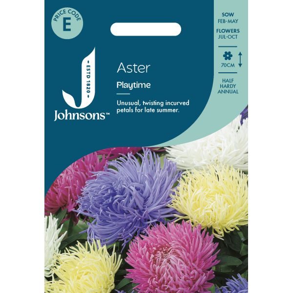Aster Playtime Seeds