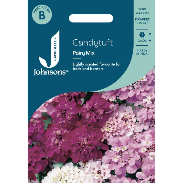 Candytuft Fairy Mixed Seeds
