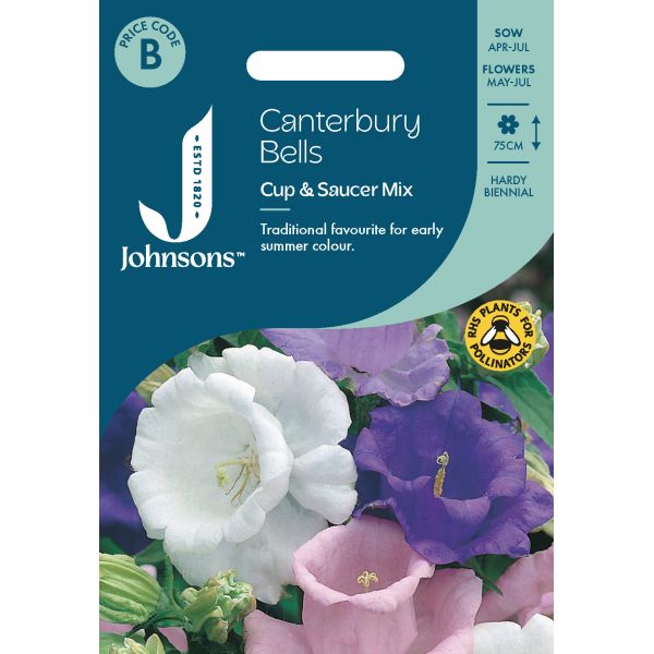 Canterbury Bells Cup & Saucer Mix Seeds