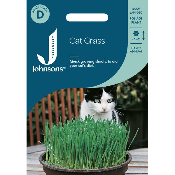 Cat Grass Avena Sativa Seeds