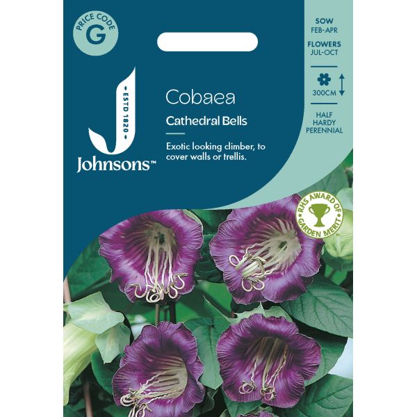 Cobaea Cathedral Bells Seeds