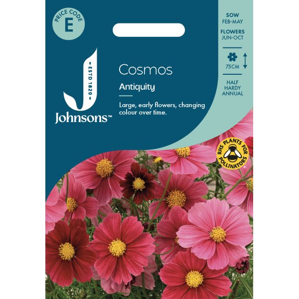 Cosmos Antiquity Seeds