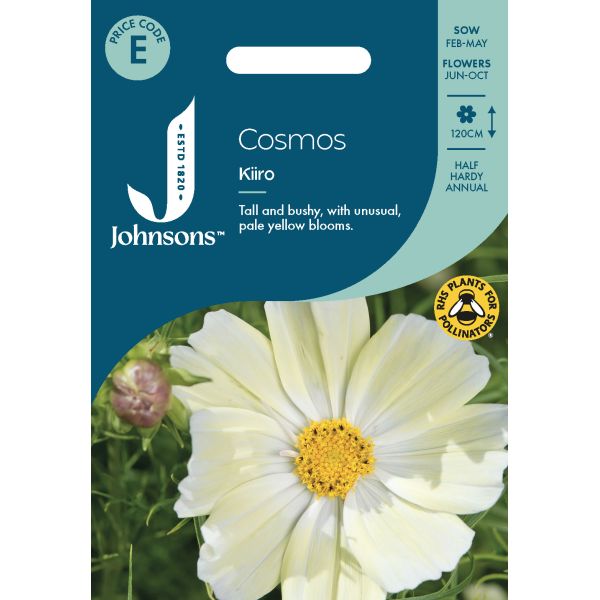 Cosmos Kiiro Seeds