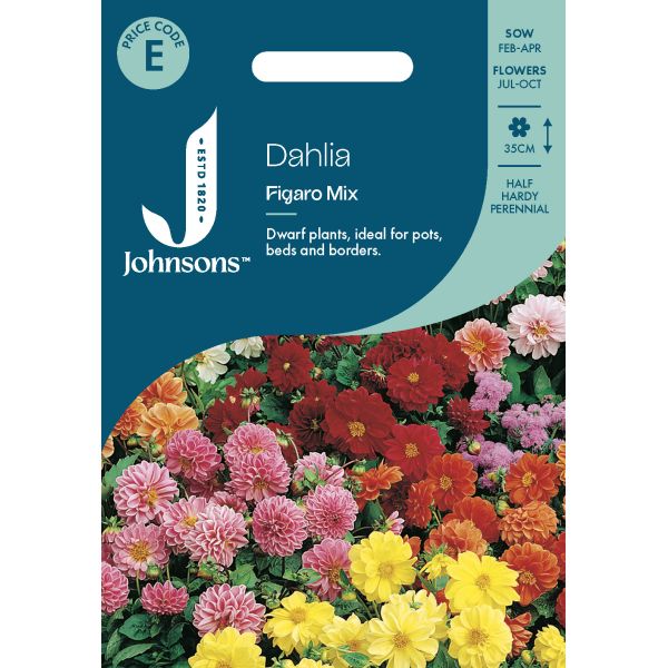 Dahlia Figaro Mix Seeds