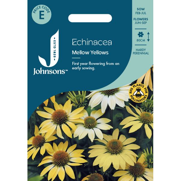 Echinacea Mellow Yellows Seeds