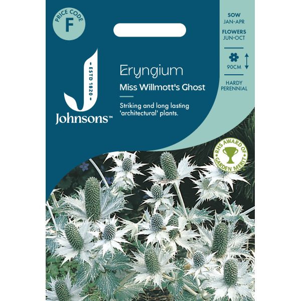 Eryngium Miss Willmotts Seeds