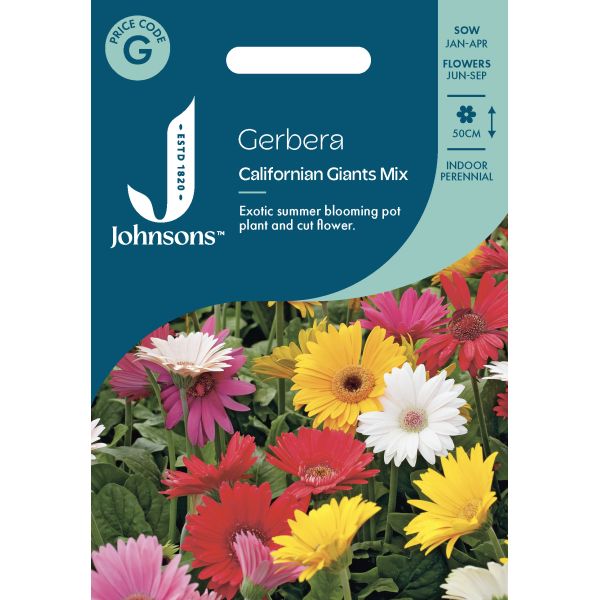 Gerbera Californian Giants Mix Seeds