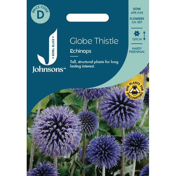 Globe Thistle - Echinops Seeds