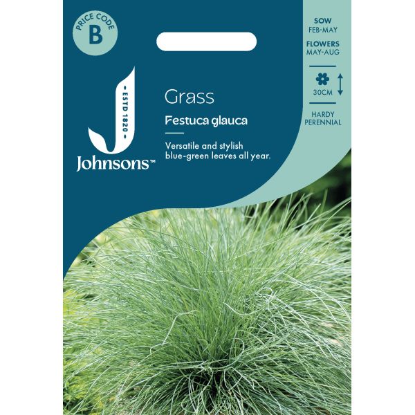 Grass Festuca Glauca Seeds