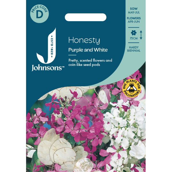 Honesty Purple and White Seeds