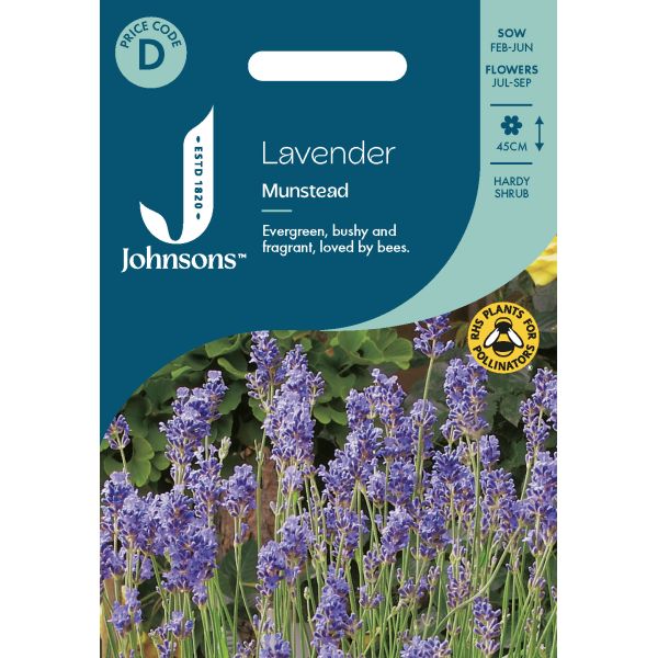 Lavender Munstead Seeds
