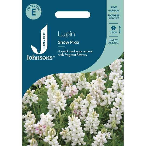 Lupin Snow Pixie Seeds