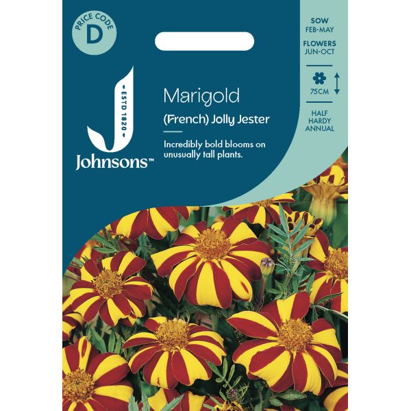 Marigold (French) Jolly Jester Seeds
