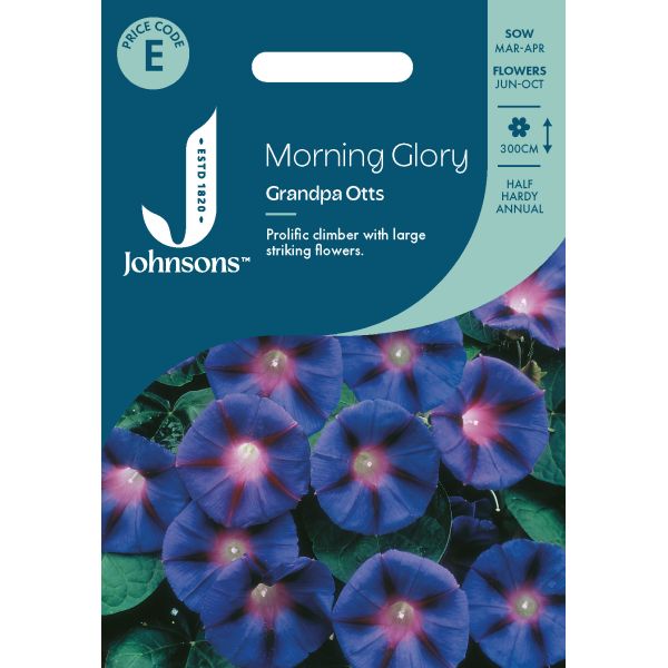 Morning Glory Grandpa Otts Seeds