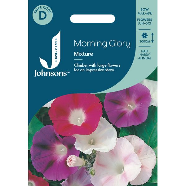Morning Glory Mixture Seeds