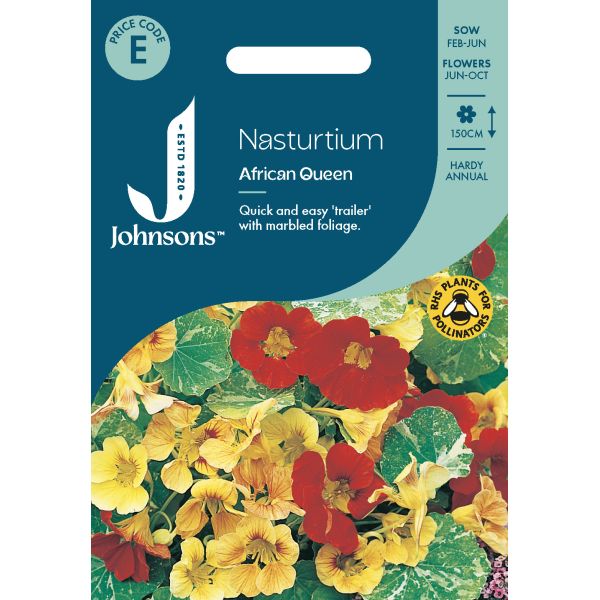 Nasturtium African Queen Seeds