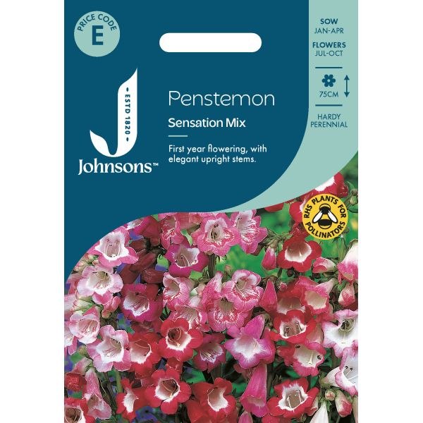 Penstemon Sensation Mix Seeds