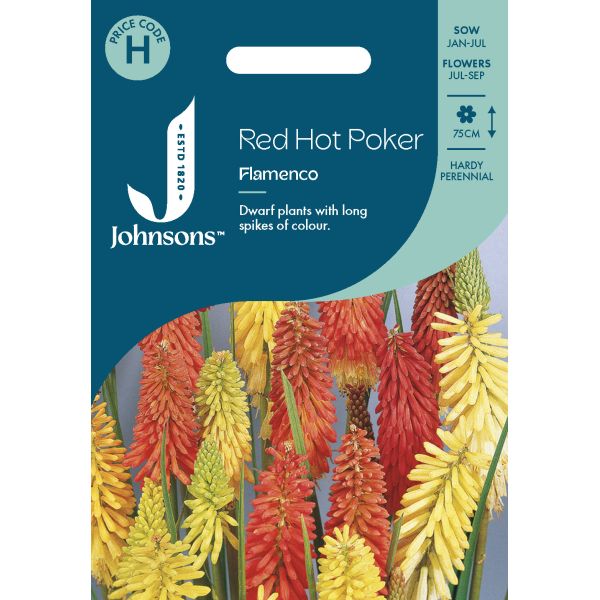 Red Hot Poker Flamenco Seeds