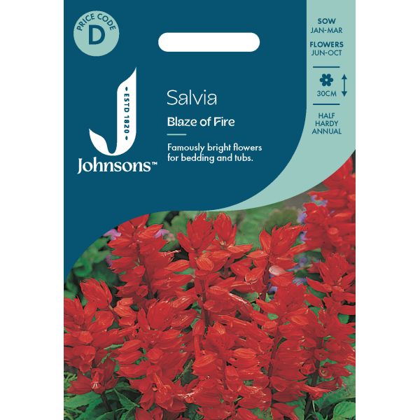 Salvia Blaze of Fire Seeds