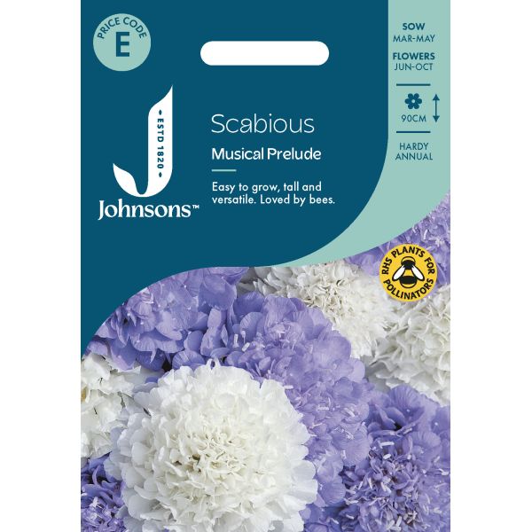 Scabious Musical Prelude Seeds