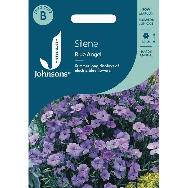 Silene Blue Angel Seeds