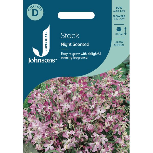 Night Scented Stock Seeds