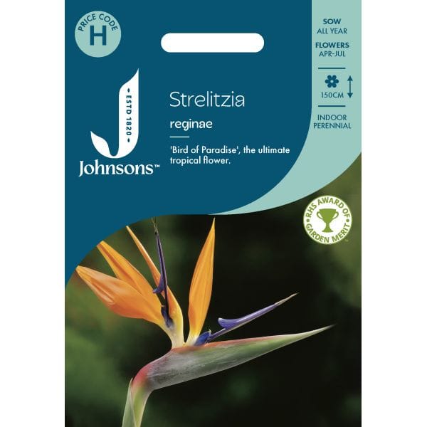 Strelitzia Reginae Seeds