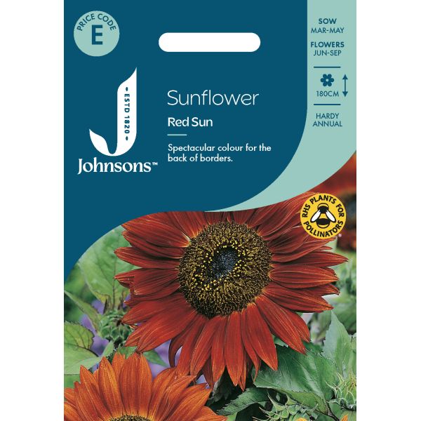 Sunflower Red Sun Seeds