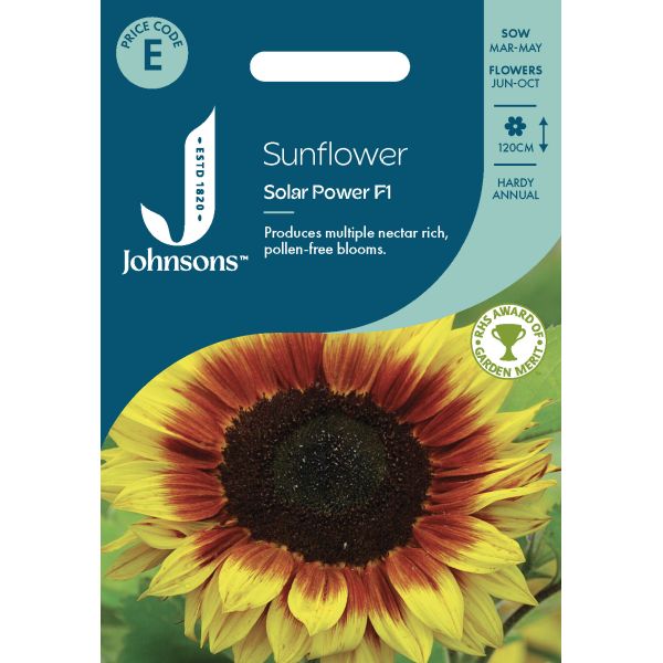 Sunflower Solar Power F1 Seeds